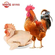 WENS 温氏 供港农养大公鸡1.6kg 高品质 冷冻土鸡散养走地鸡炒鸡 整鸡