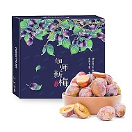 Mr.Seafood 京鲜生 新疆喀什法兰西西梅 1.5kg＋黄心猕猴桃 25粒