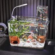Forsure Pet 宠确幸 生态鱼缸客厅种小型家用水族箱透明金鱼缸乌龟缸桌面造景缸