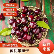 FruitPark 洋果坊 智利进口车厘子大樱桃应季新鲜水果 特大果:JJJJ900g32-34mm