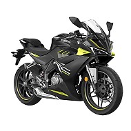 赛科龙 RC250 新生代战斗仿赛摩托车 星际黑 运动版 全款