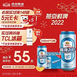 燕京啤酒 鲜啤2022 500ml*12听