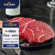 FRESH·FOUR SEASONS 淳鲜四季 X京东会员联名款 和牛M5肉芯牛排 1.2kg/10袋