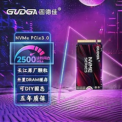 GUDGA 固德佳 M.2 NVMe PCle3.0 256GB 固态硬盘SSD 2242可转接2280