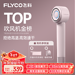 FLYCO 飞科 高速电吹风机 FH637