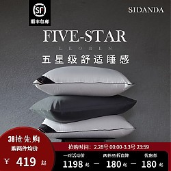 3.8焕新、家装季：SIDANDA 诗丹娜 2022年升级款回弹枕 中枕 48*74cm