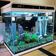 SUNSUN 森森 超白玻璃小鱼缸客厅 小型桌面家用水族箱 生态免换水金鱼缸