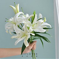 3.8焕新：京东鲜花 香水百合花 白色10朵