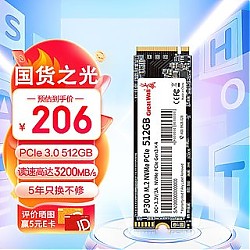 Great Wall 长城 P300 M.2固态硬盘 PCIe 3.0 256GB+散热马甲