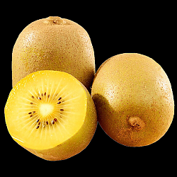 美得乐 黄心猕猴桃 中果（70－90g）15枚