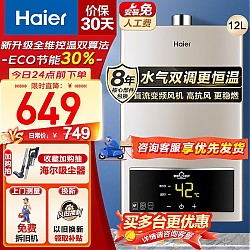 Haier 海尔 JSQ22-12UTS(12T) 燃气热水器 12L 天然气