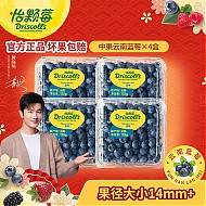 怡颗莓 当季云南蓝莓 新鲜水果 云南当季125g*4盒