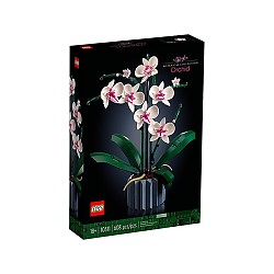 LEGO 乐高 10311兰花创意系列花卉绿色植物拼搭积木玩具