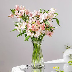 花点时间 鲜花云南直发送女友送老婆生日礼物玫瑰六出组合花材花束 六出花10枝-颜色随机