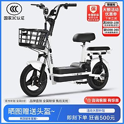 安顺骑 新国标雅迪电动车型电动自行车48V小型电瓶车幻影锂电池代步车 白色