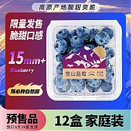 Mr.Seafood 京鲜生 云南蓝莓 12盒 约125g/盒 15mm+ 新鲜水果礼盒 源头直发 包邮