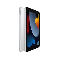 Apple 苹果 iPad 10.2英寸平板电脑 2021款第9代（256GB WLAN版/A13芯片/MK2P3CH/A）