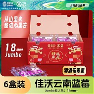 JOYVIO 佳沃 云南当季蓝莓大果18mm+ 6盒装 约125g/盒 新鲜水果