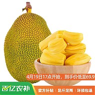 冠町 海南黄肉菠萝蜜 25-30斤