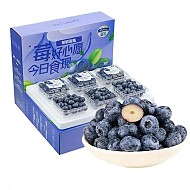 柚萝 特大果 蓝莓 125g*6 盒 单果18-22mm
