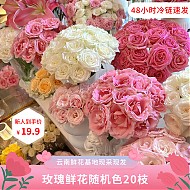 京东鲜花 随机色玫瑰20枝颜色品种随机昆明直发鲜花送女朋友节日礼物
