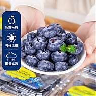 鲜程祥合 特大果 蓝莓 125g*6 盒 单果18-22mm
