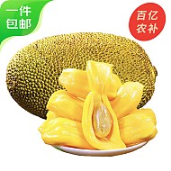 农锦鲜 海南菠萝蜜一个装25-30斤新鲜水果当季特产源头直发包邮