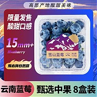 Mr.Seafood 京鲜生 云南蓝莓 8盒 约125g/盒 15mm+ 新鲜水果礼盒 源头直发 包邮