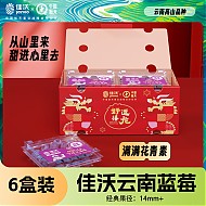 JOYVIO 佳沃 云南当季蓝莓14mm+ 6盒礼盒装 约125g/盒 新鲜水果
