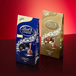 Lindt 瑞士莲 巧克力进口软心精选牛奶巧克力600g盒装纯可可脂混合