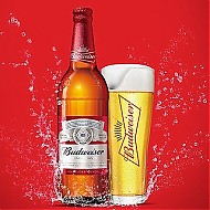 Budweiser 百威 啤酒玻璃瓶580ml*12瓶整箱