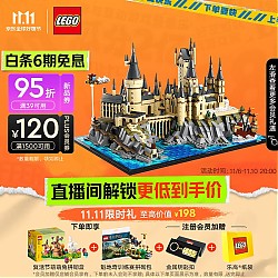 LEGO 乐高 积木拼装哈利波特76419霍格沃茨城堡庭院18岁+玩具生日礼物上新