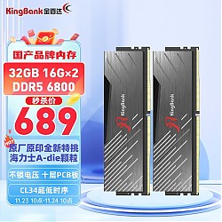 10点开始：KINGBANK 金百达 黑刃 DDR5 6800MHz 台式机内存 马甲条 32GB(16GB*2)