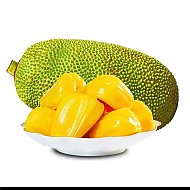 美得乐 海南黄肉菠萝蜜 15-20斤