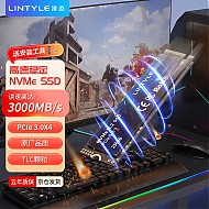 LINTYLE 凌态 SSD固态硬盘 M.2接口(NVMe协议) PCIe3.0x4 长江颗粒  X15 固态TLC颗粒 256G