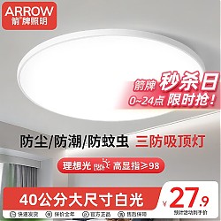 移动端、京东百亿补贴：ARROW 箭牌照明 吸顶卧室灯 36W 白光 38cm