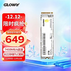 GLOWAY 光威 弈系列 2TB M.2 NVMe 固态硬盘