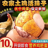 狂野小吃：知江南 土鸡蛋活珠子  40g*10枚