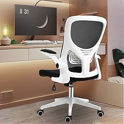 泉枫  人体工学座椅  常规款 3D腰托 白色+逍遥躺