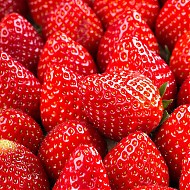 鲁禧 大凉山草莓 净重2.5-3斤装 单果12g+