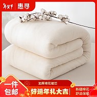 惠寻 新疆长绒棉被 200*230cm 6斤