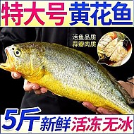 XYXT 虾有虾途 1斤1条黄花鱼新鲜冷冻特大号黄花鱼