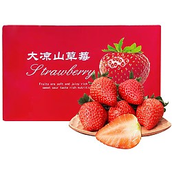 YOULING 柚琳 红颜99草莓 5斤装 单果8-15g