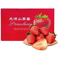 姬幻 红颜99草莓 5斤装 巨无霸 单果30-50g
