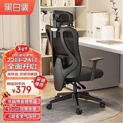 HBADA 黑白调 P1 人体工学电脑椅 标准版