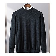 FORTEI 富铤 23冬季圆领保暖毛衣纯色针织衫男式羊毛衫