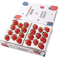 惜音 特价10000盒 果王 红颜99草莓 礼盒装 （11粒单盒净重300g+）