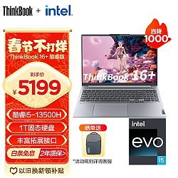 ThinkPad 思考本 16+ 16英寸笔记本电脑（i5-13500H、16G、1T SSD）