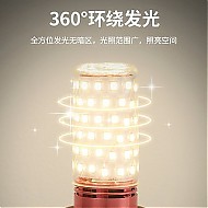 铜之光 led灯泡节能灯 5只装 12W白光
