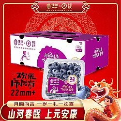 JOYVIO 佳沃 云南精选蓝莓巨无霸22mm+ 4盒礼盒装 约125g/盒 水果年货礼